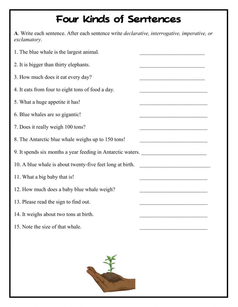 Four Kinds Of Sentences Worksheet Practice And Master Sentence Types