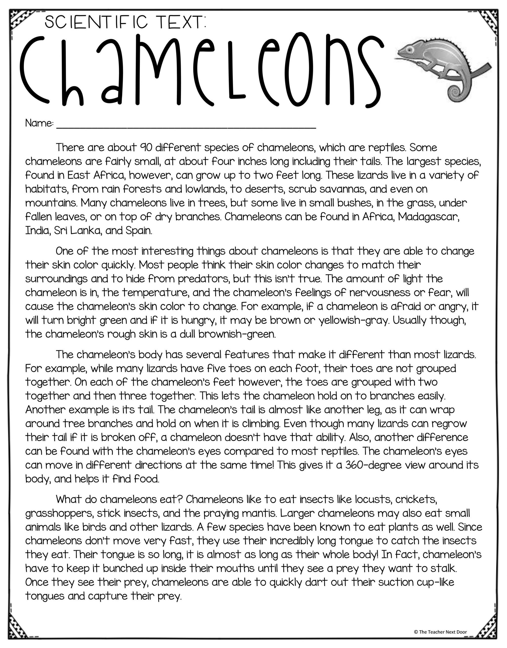 paragraphs for 3rd graders