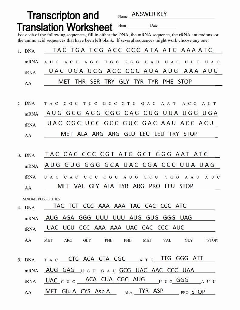 Free Transcription Worksheet Biology Download Free Transcription Worksheet Biology Png Images Free Worksheets On Clipart Library