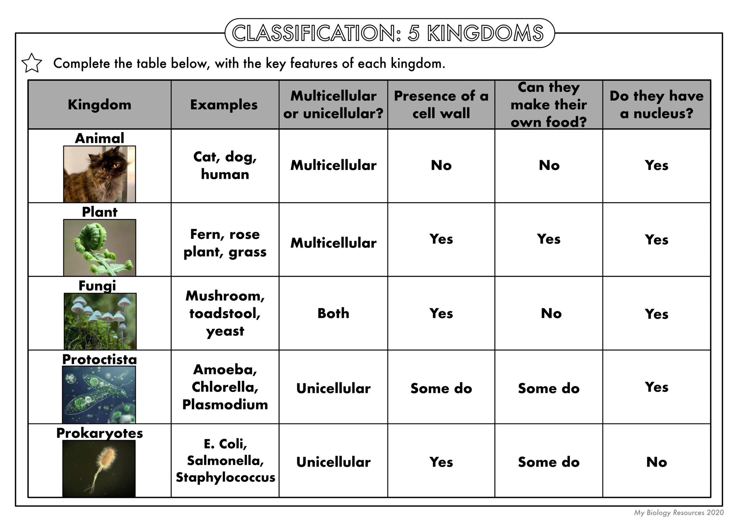 classification and kingdoms worksheet