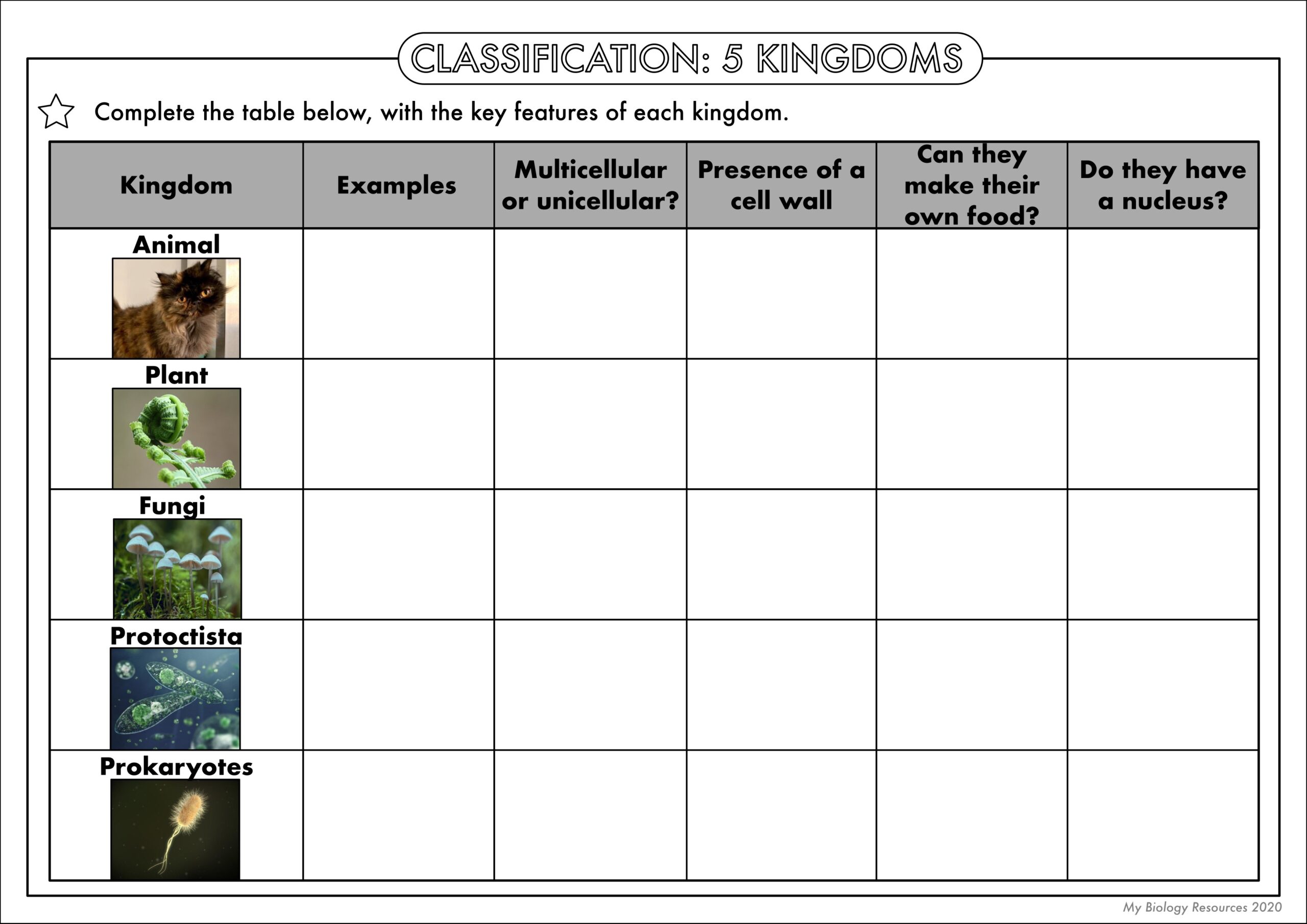 GCSE Biology Classification Worksheet Pack Worksheets Library