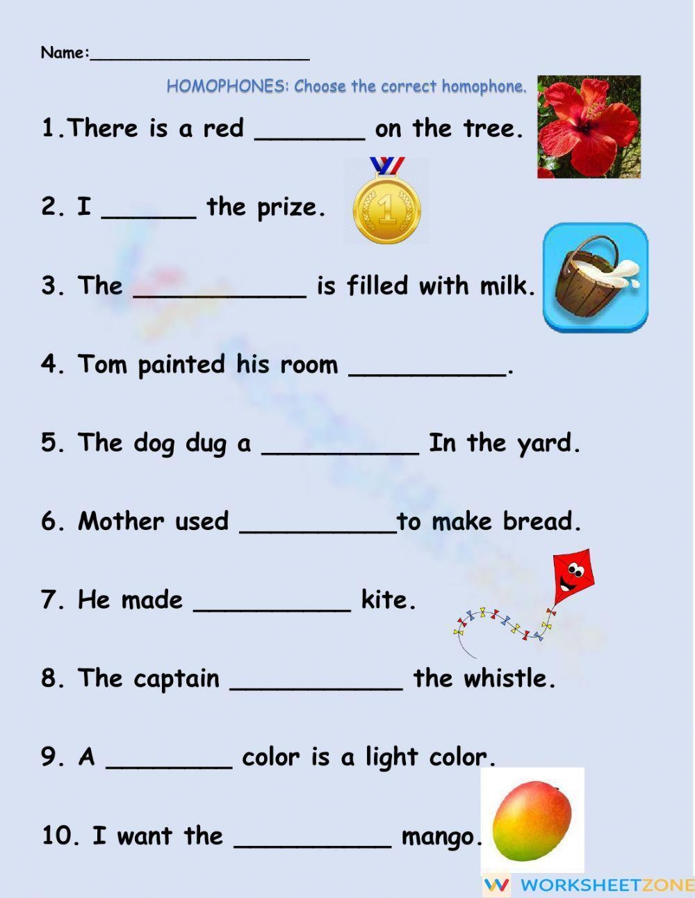 Grade 3 Homophones And Homographs Worksheets