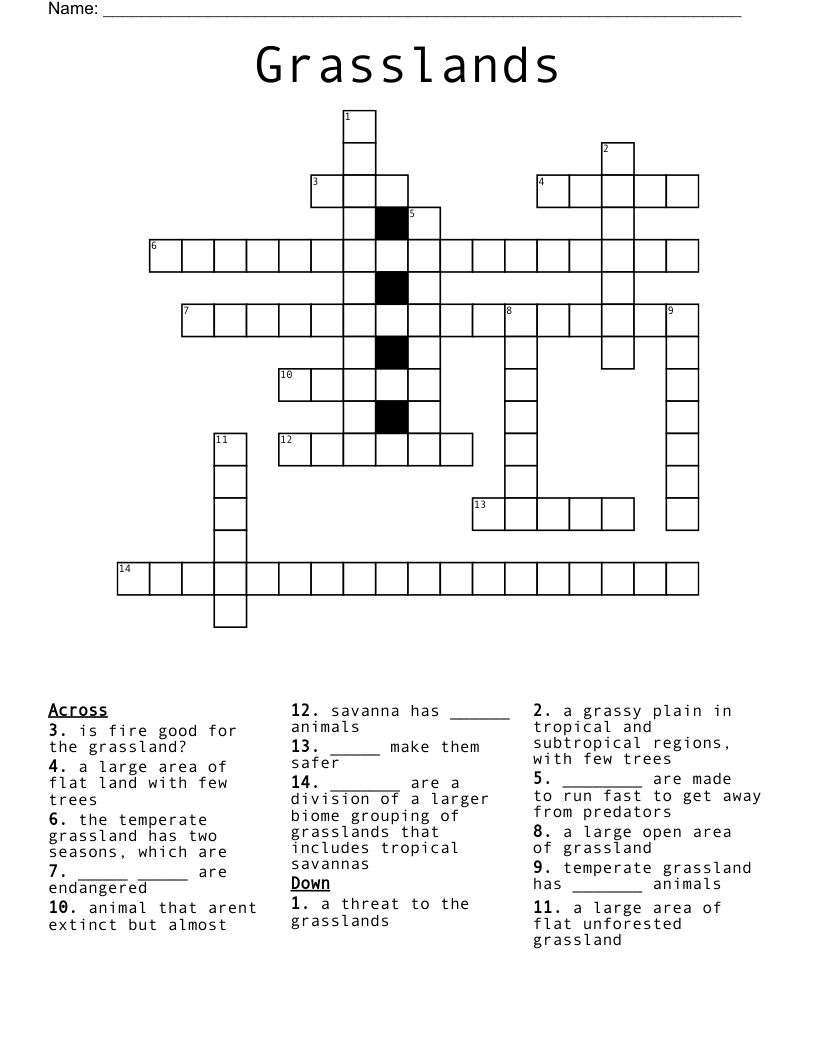 Grasslands Crossword WordMint