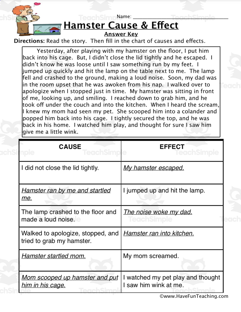 Hamster Cause And Effect Worksheet By Teach Simple