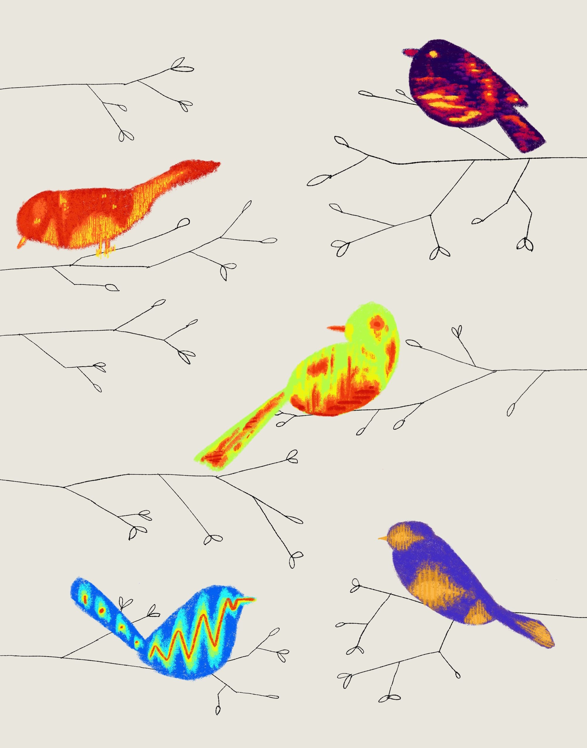 How Scientists Started To Decode Birdsong The New Yorker