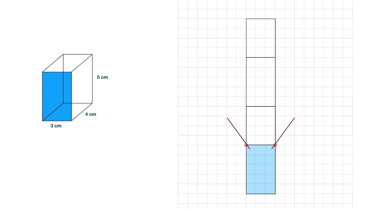 How To Draw The Net Of A Rectangular Prism YouTube