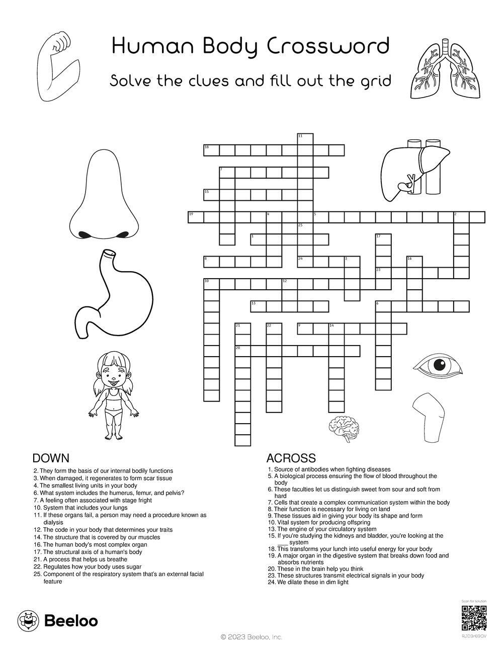 Human Body Crossword Beeloo Printable Crafts And Activities For Kids