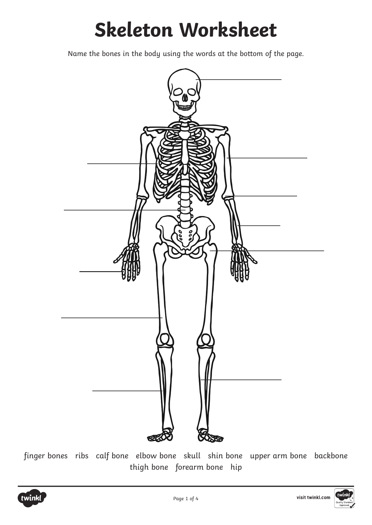 Human Skeleton Worksheet Label Learn 