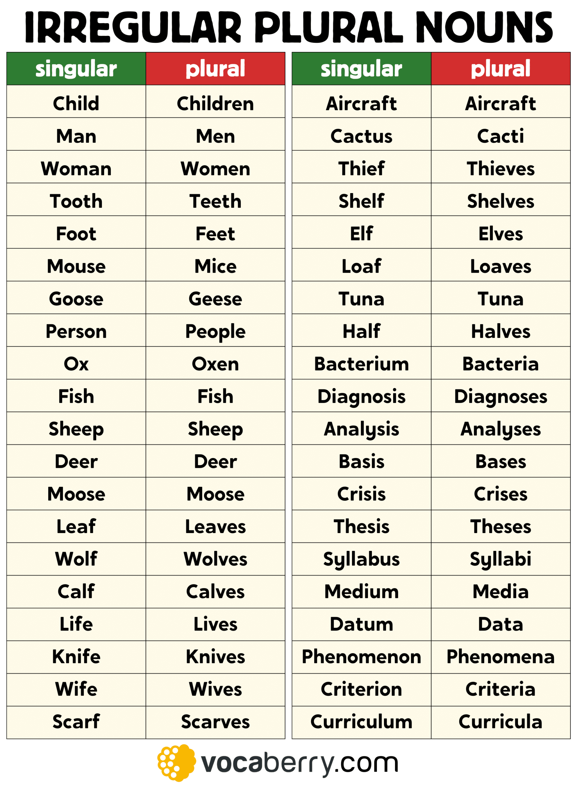 Irregular Plural Nouns Irregular Plural Nouns