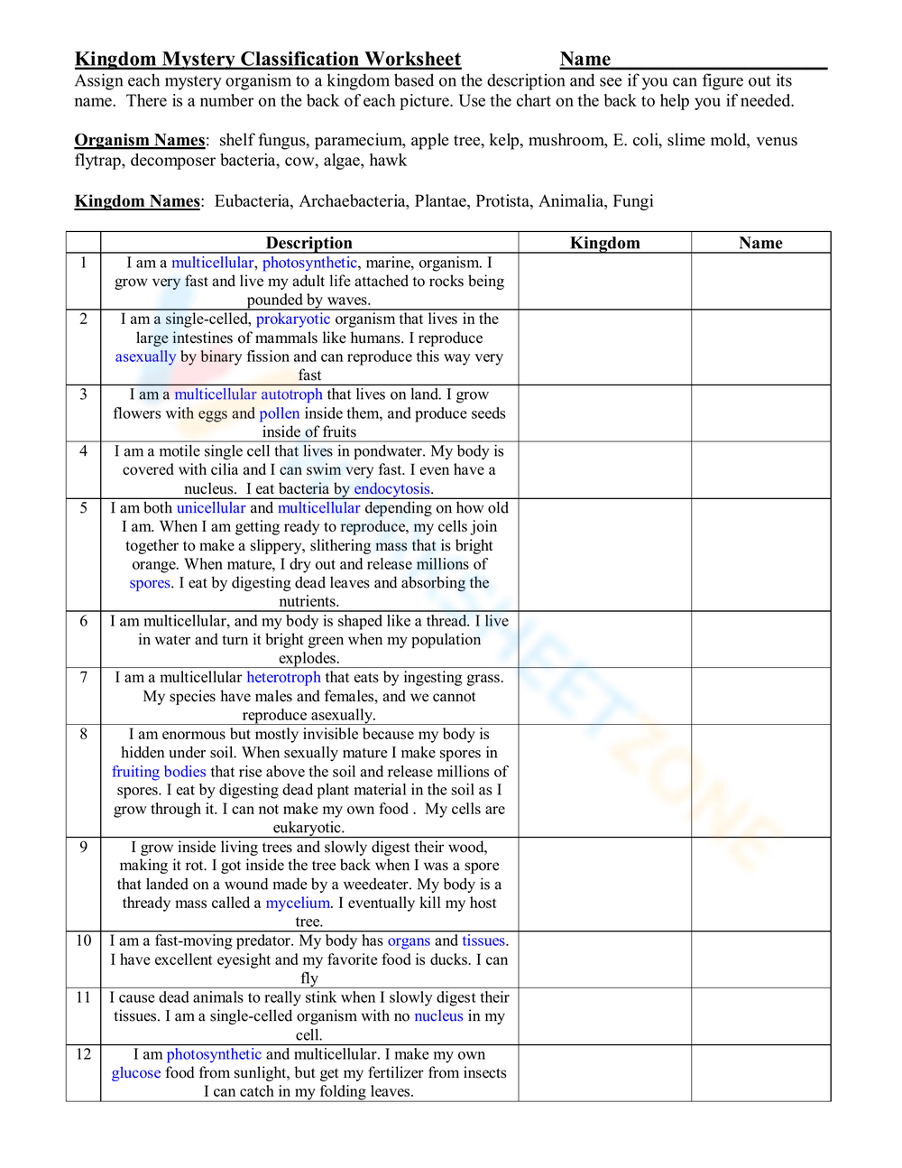 Kingdom Classification Fill In The Blanks Worksheets