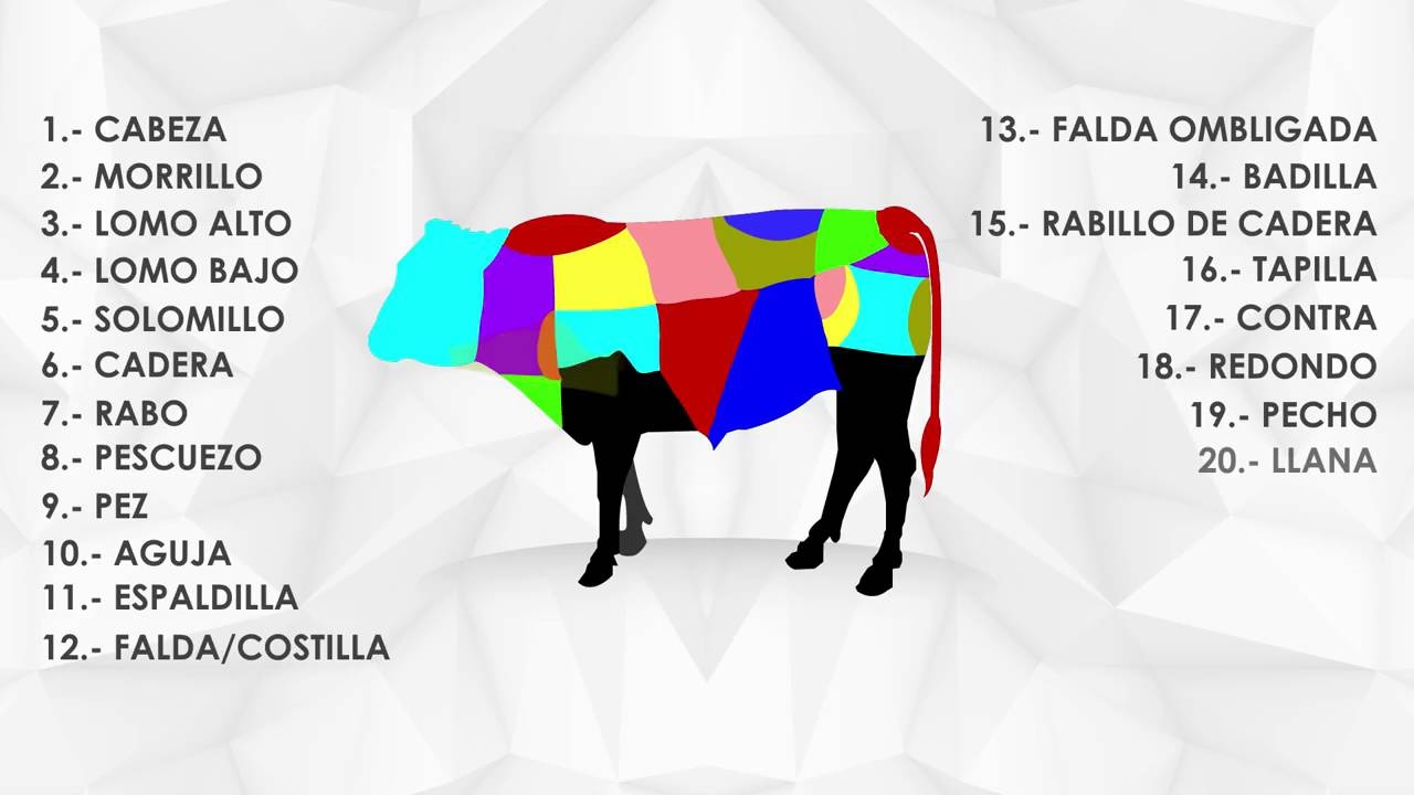 partes de la vaca