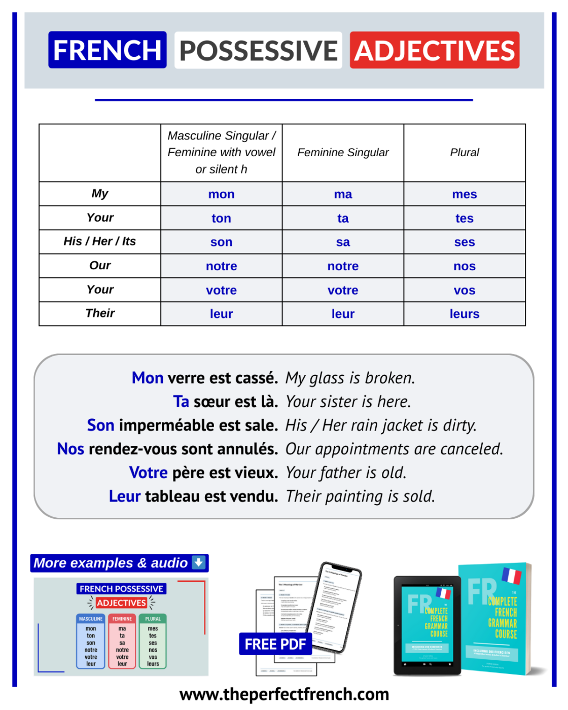 Learn French Possessive Adjectives French Online Language Courses The Perfect French With Dylane
