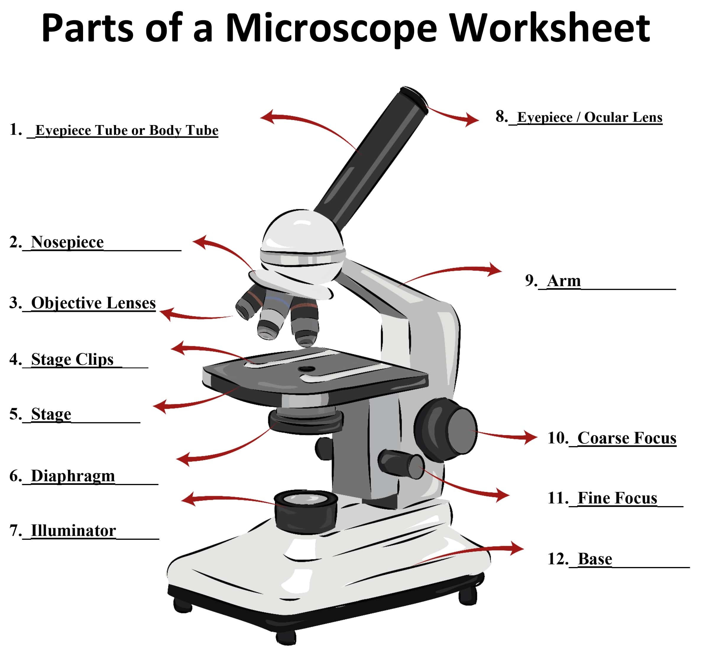 Learning About Microscopes Archives SmartSchool Systems