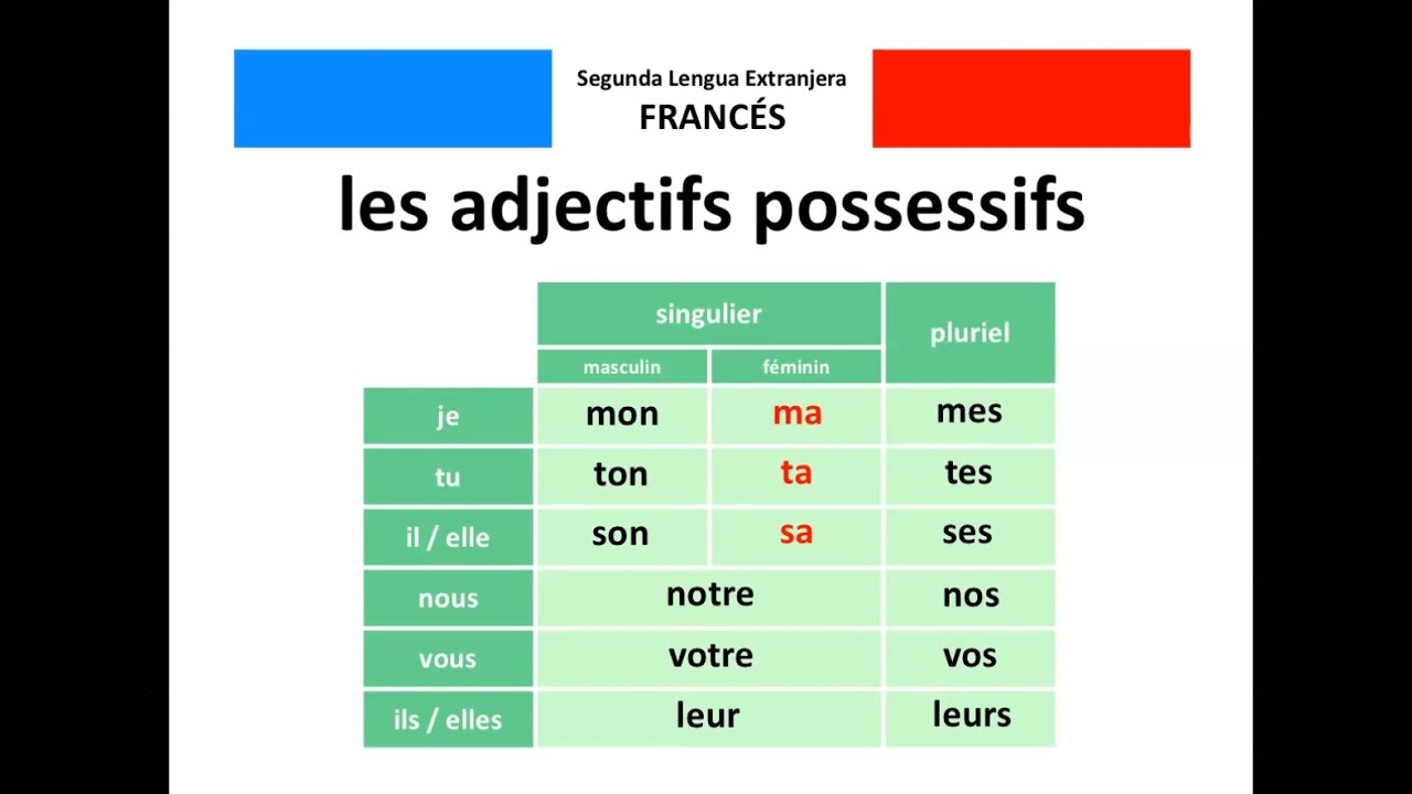  Les Adjectifs Possessifs Los Adjetivos Posesivos YouTube