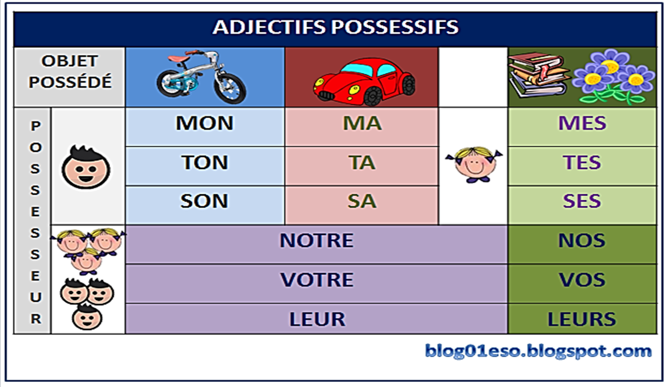 adjectifs possessifs in french
