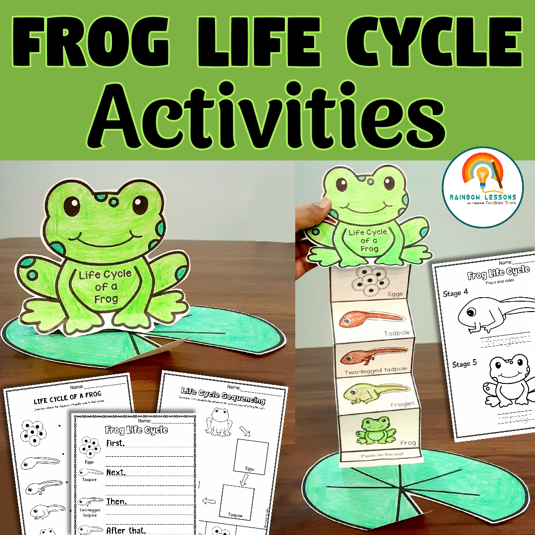 life cycle of a frog worksheet