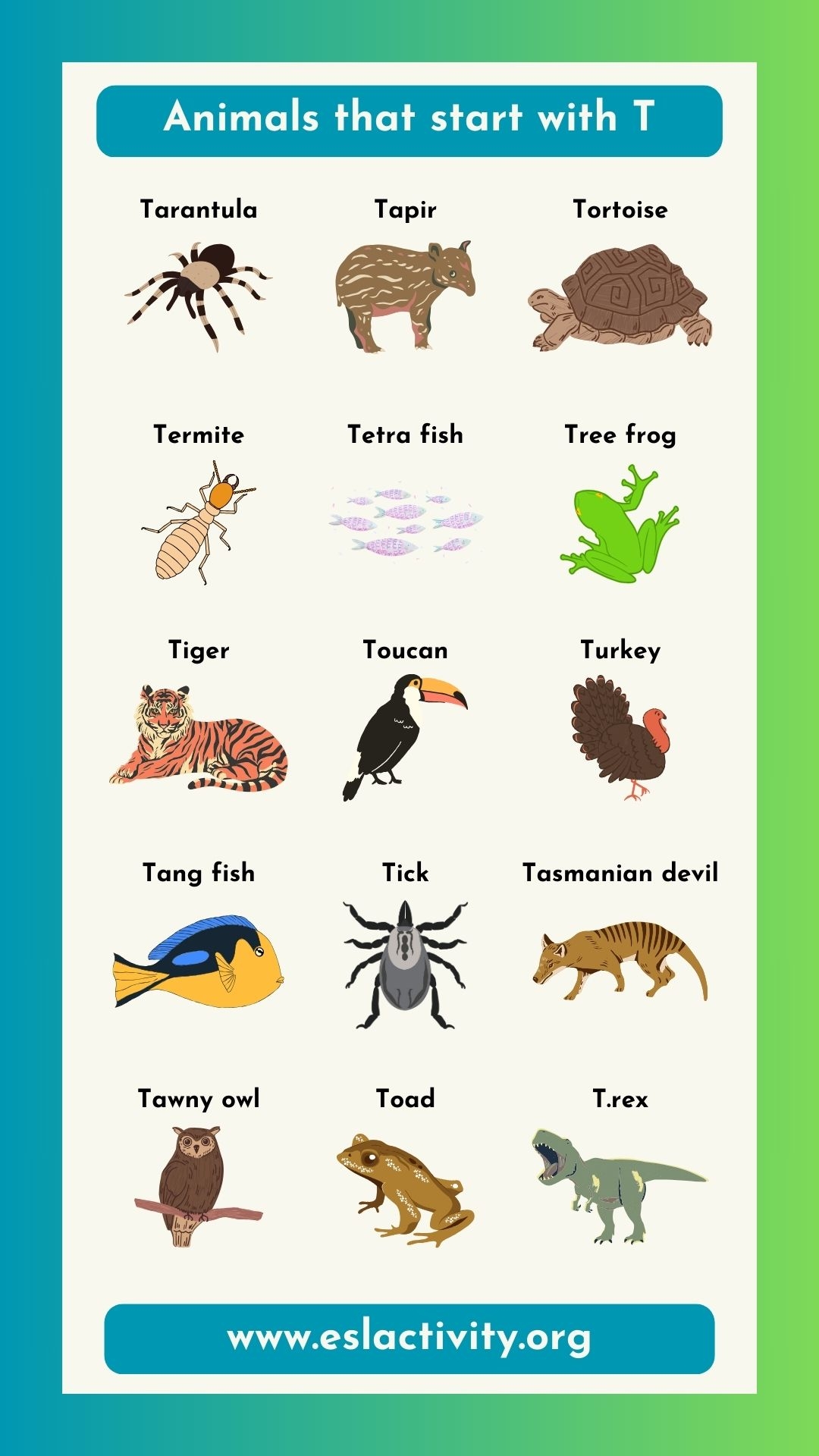 List Of Animals That Start With T Fun Facts And Pictures