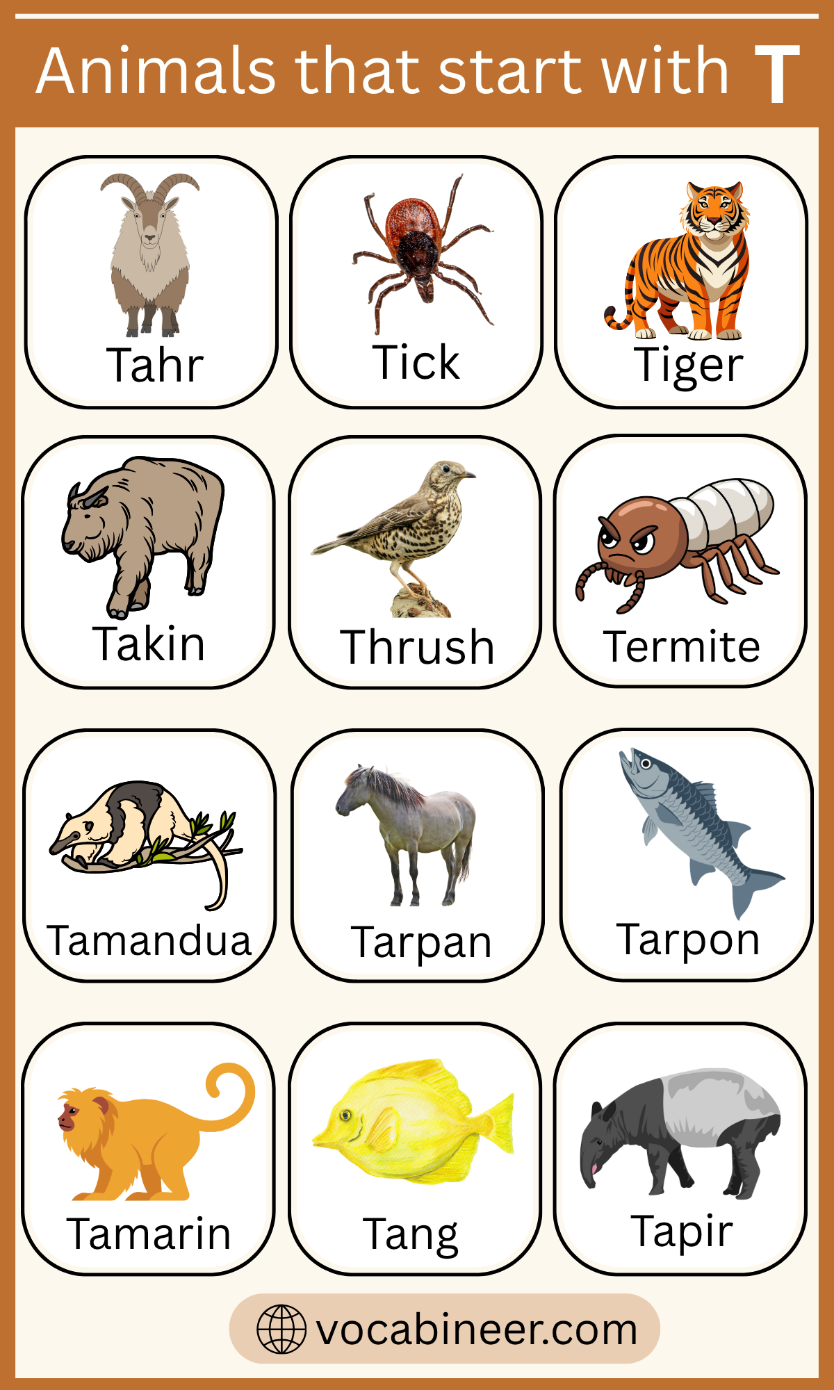 List Of Animals That Start With T With Pictures