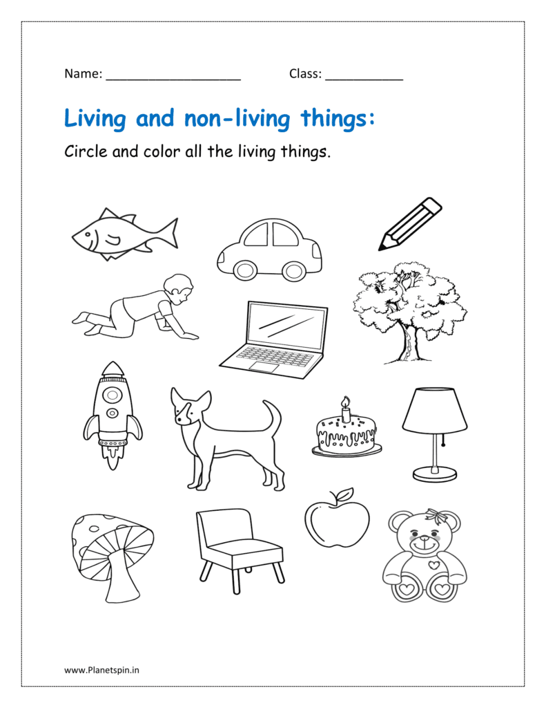 Living And Non Living Things Worksheet Planetspin in