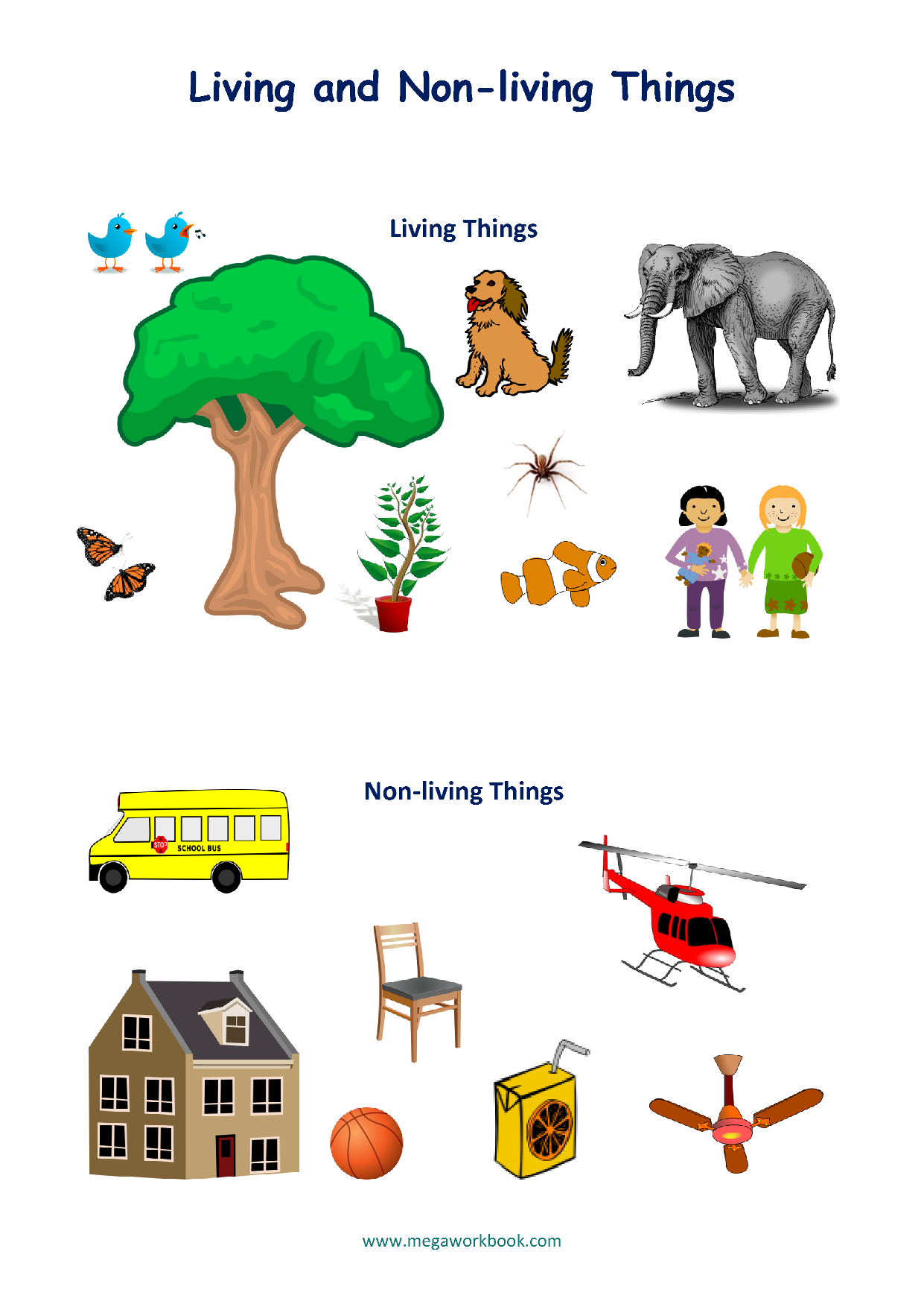 Living And Non Living Things Worksheets Characteristics Of Living Things MegaWorkbook