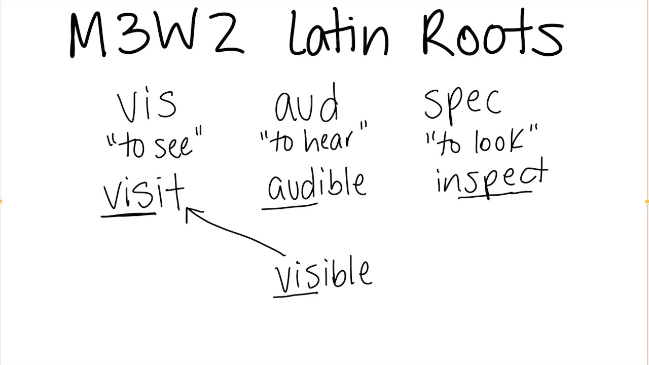 M3W2 Latin Roots Vis Aud Spec YouTube