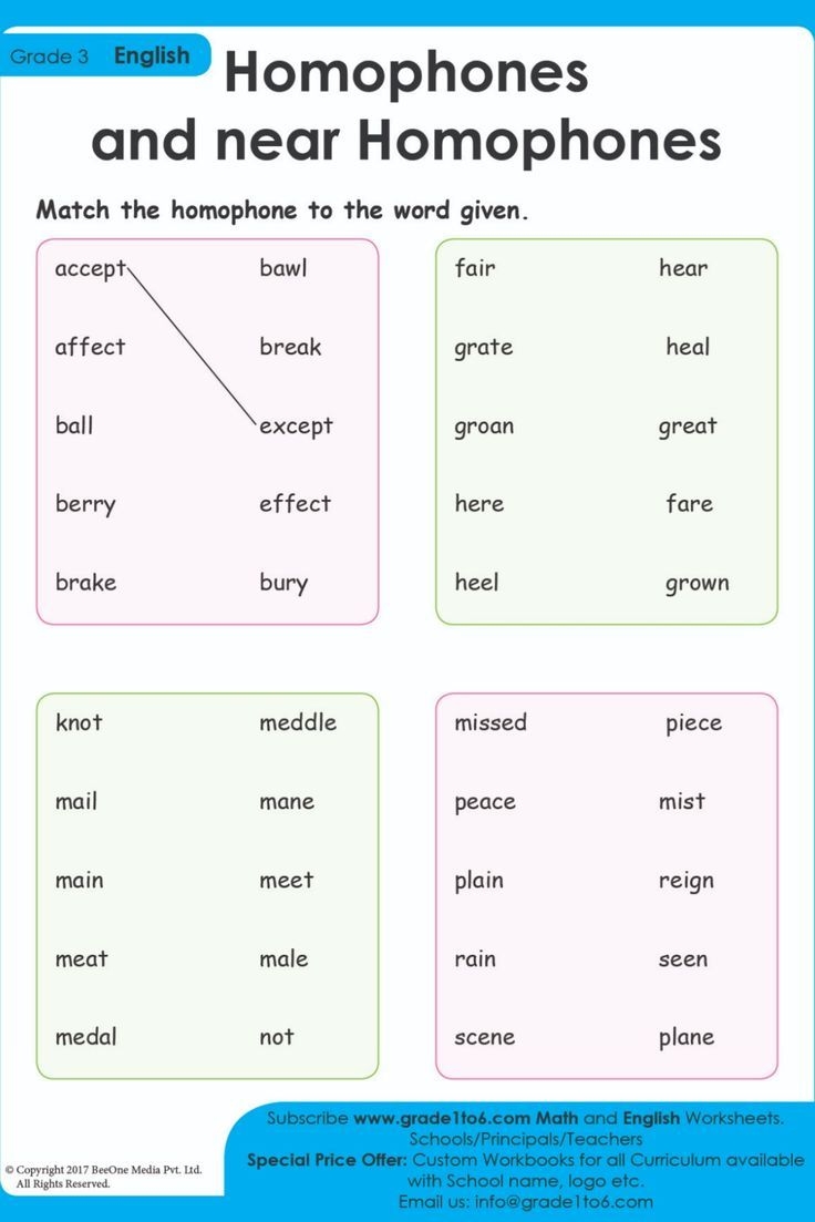 Match The Homophones With The Words