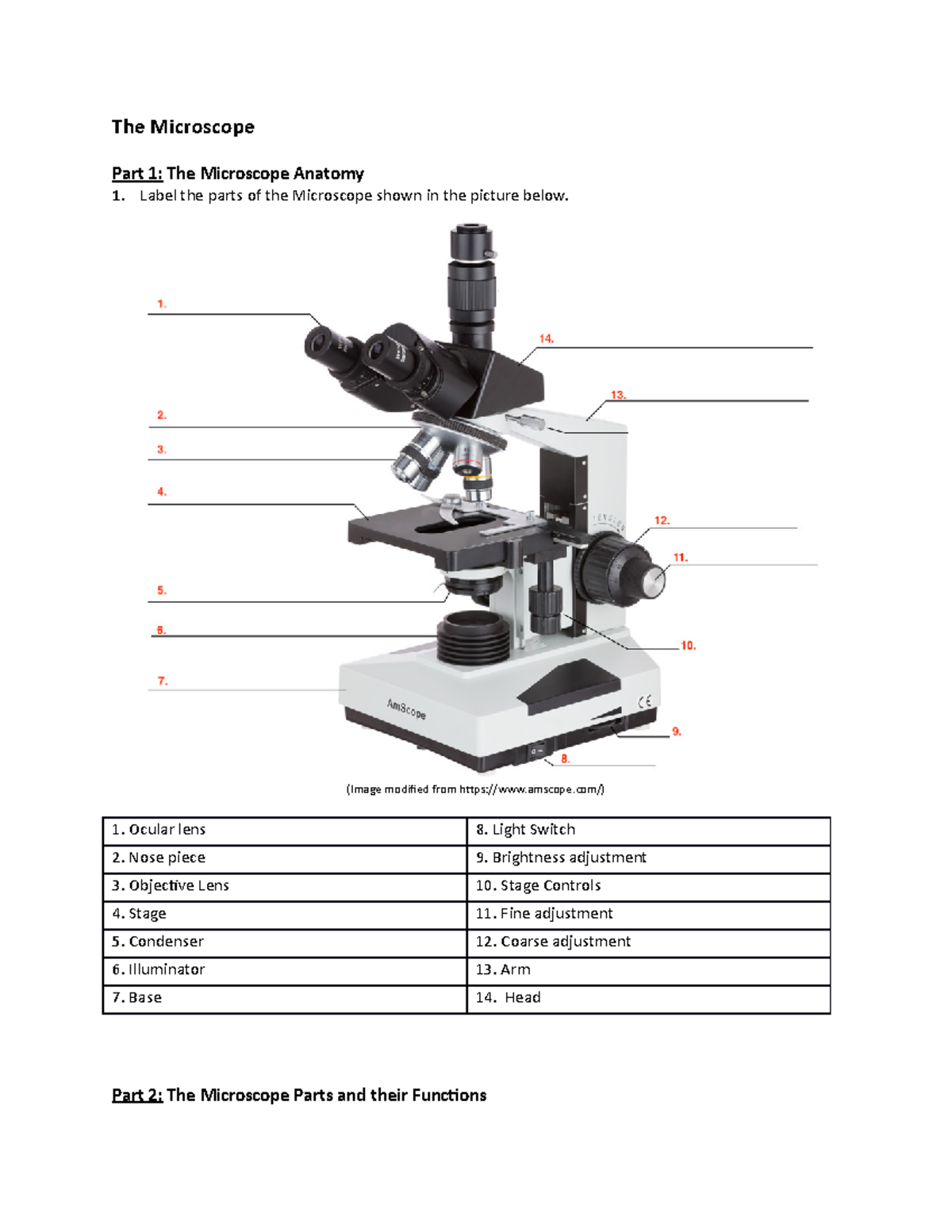 parts of a microscope worksheet