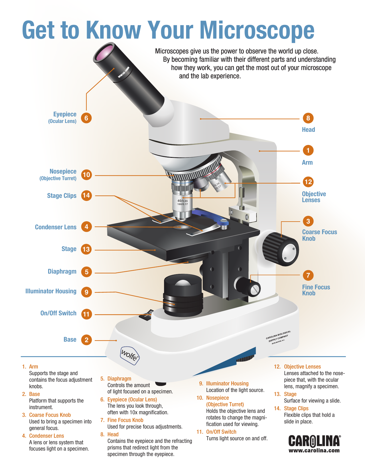 parts of the microscope worksheet