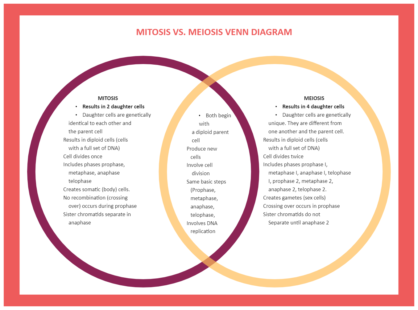 Mitosis And Meiosis Venn Diagram EdrawMax Template