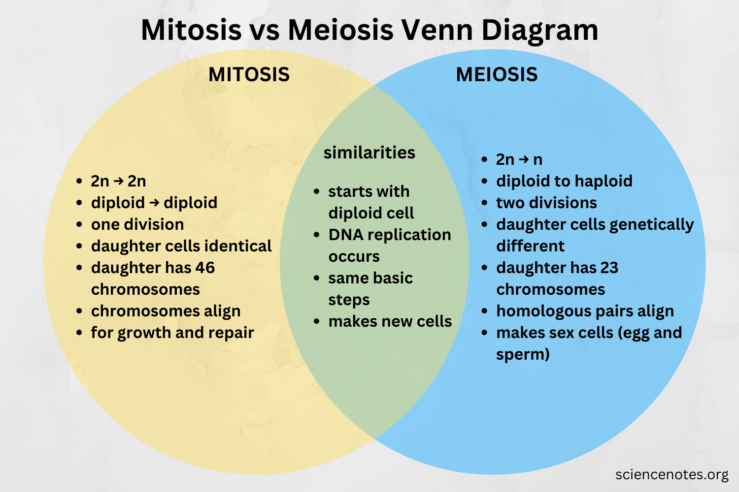 Mitosis Vs Meiosis