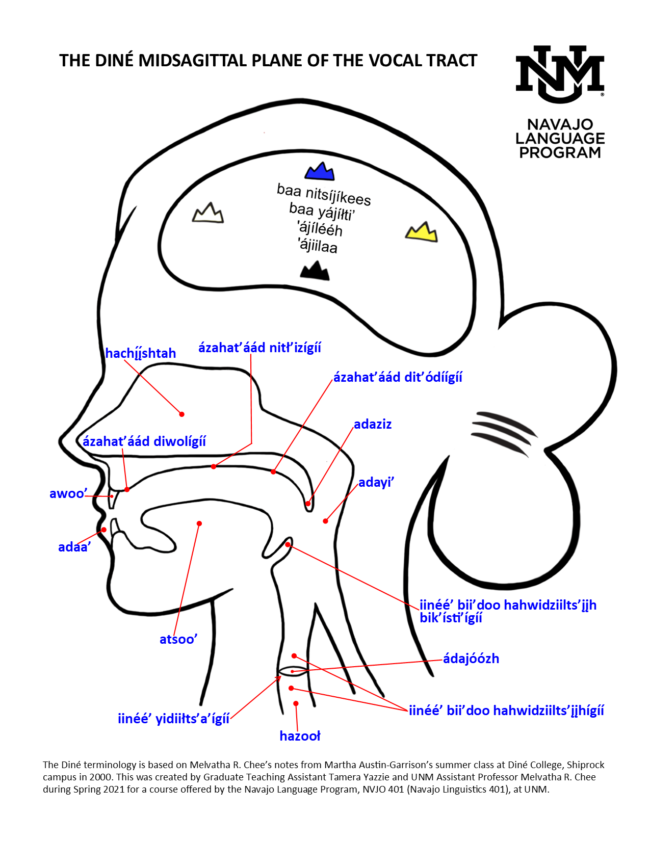 translate english to navajo language