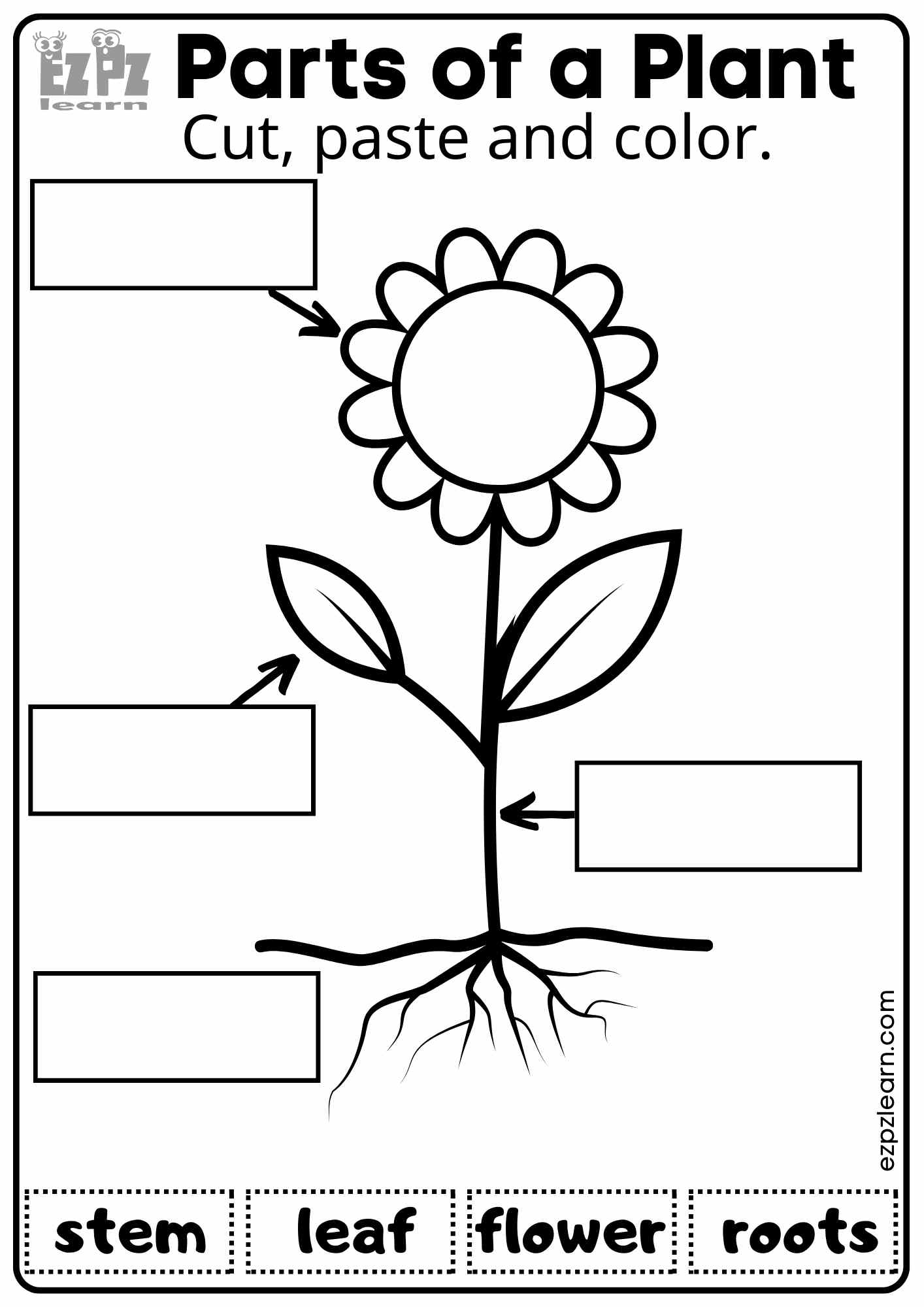 parts of a flower worksheet