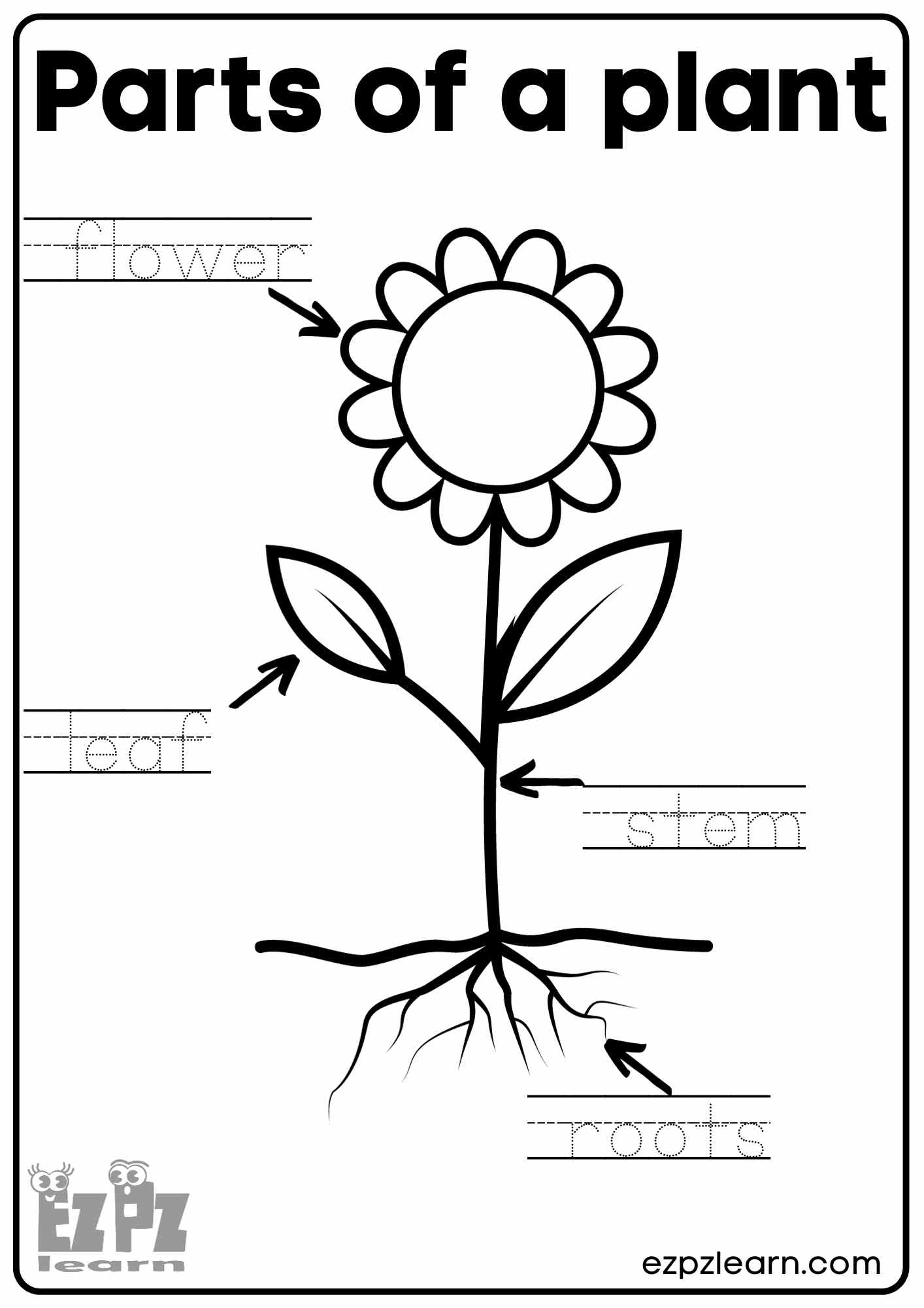 parts of a plant worksheet