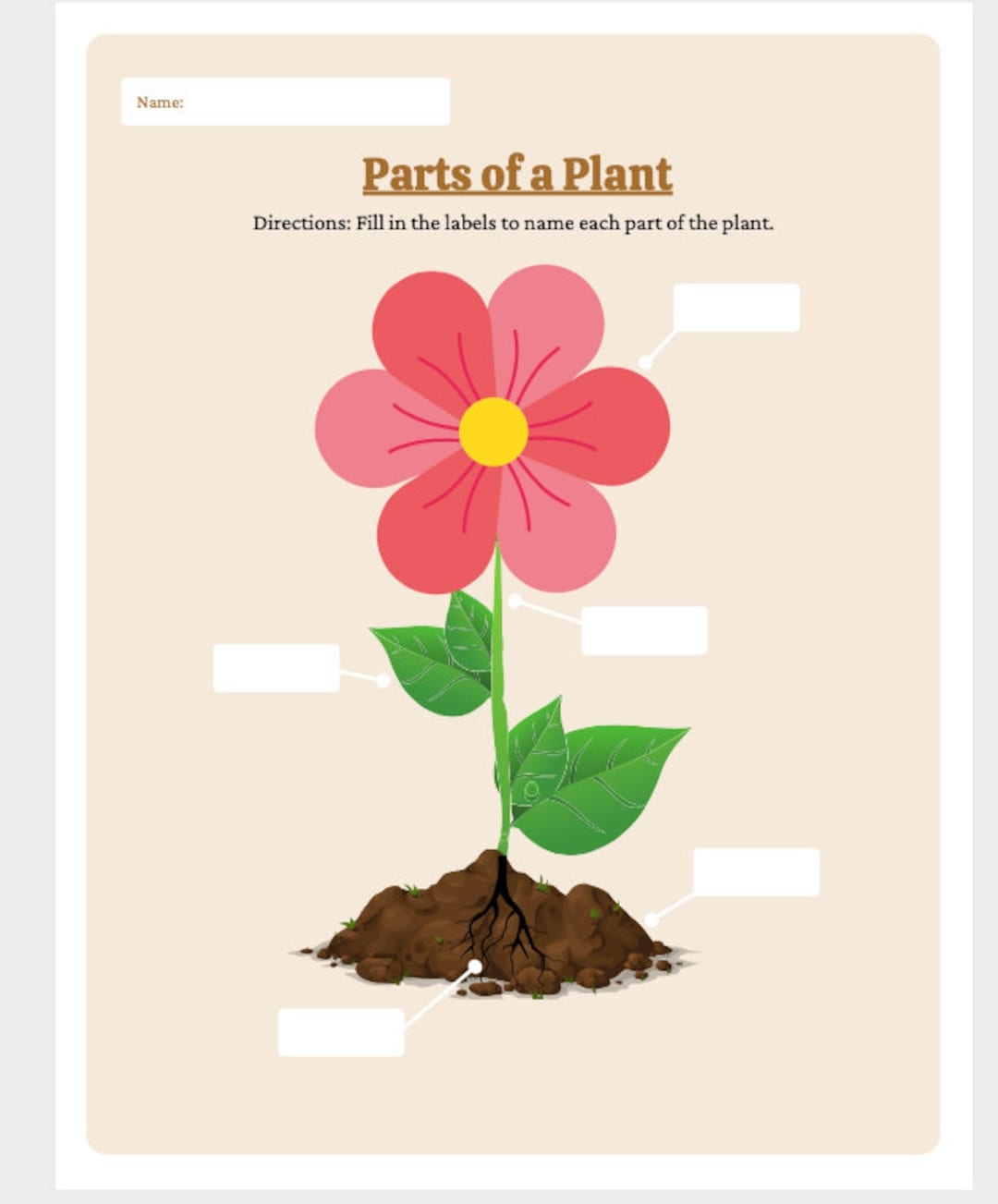 parts of plant printable parts of plant printable