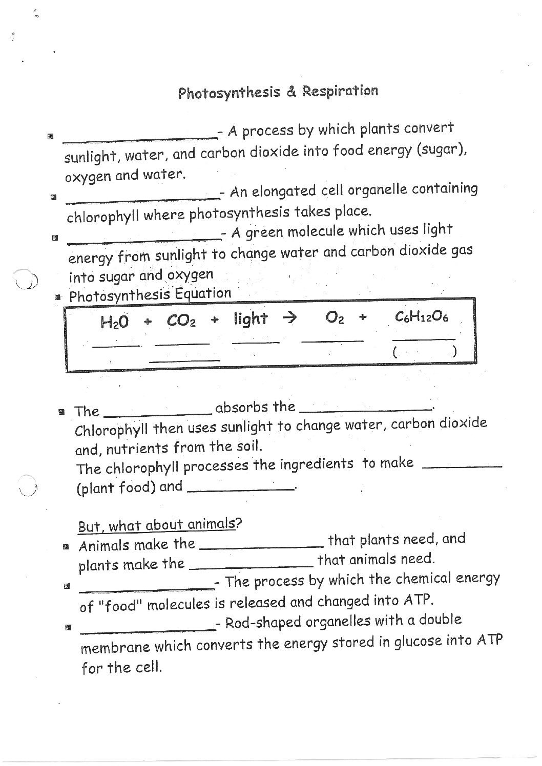 photosynthesis and cellular respiration worksheet
