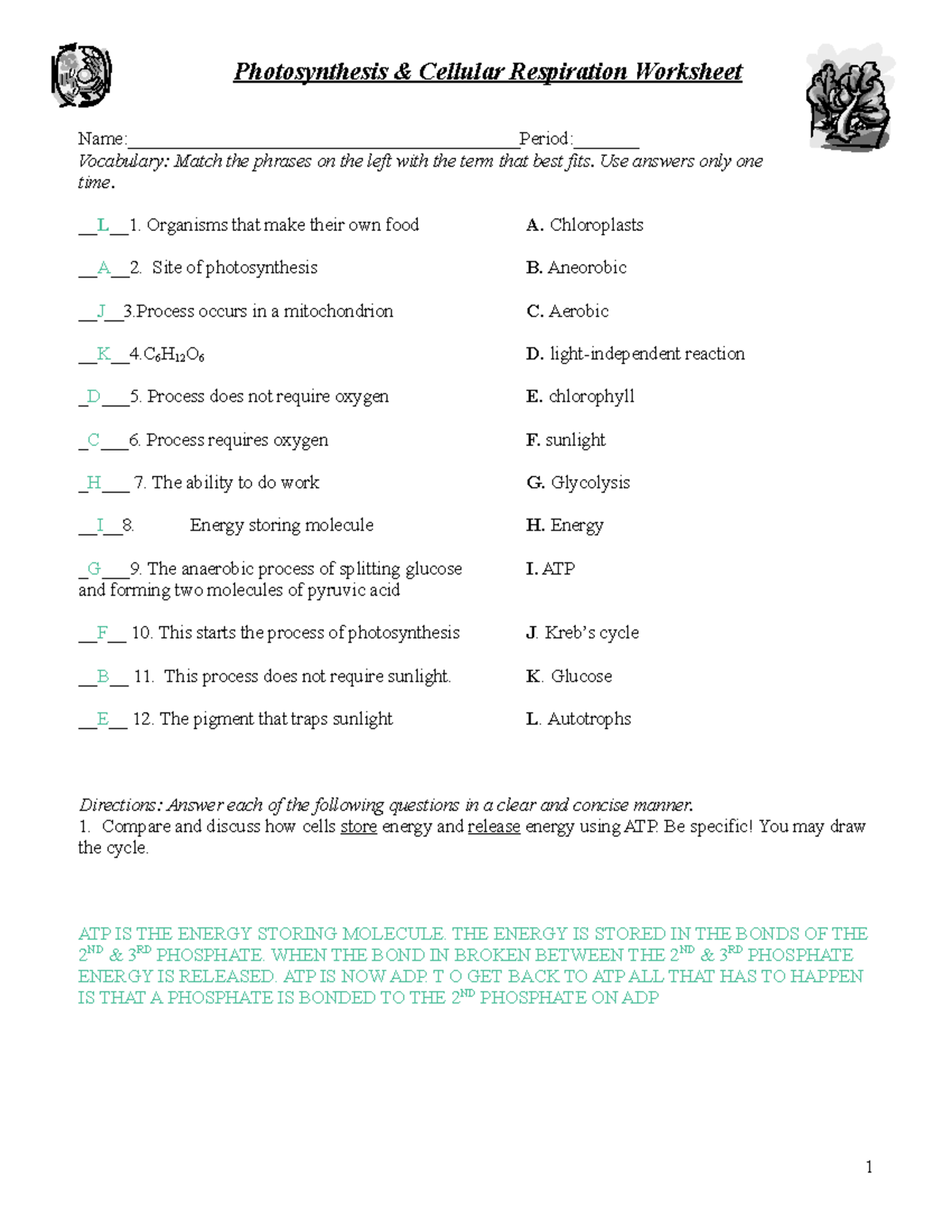 Photosynthesis Cellular Respiration Review Worksheet Key Concepts Studocu