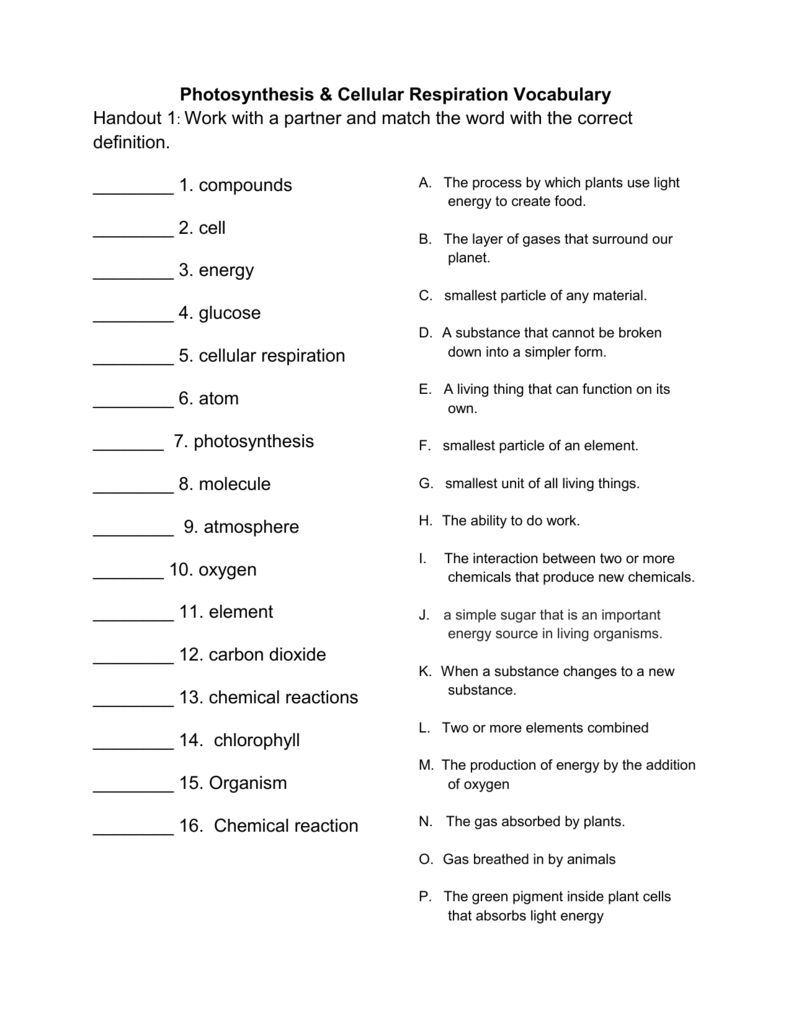 Photosynthesis Cellular Respiration Vocabulary Worksheet Photosynthesis Cellular Respiration Vocabulary Worksheet
