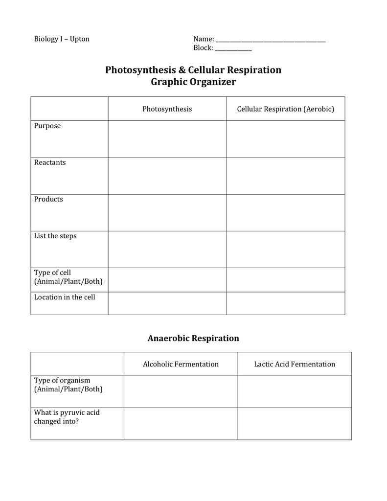 photosynthesis & cellular respiration worksheet photosynthesis & cellular respiration worksheet