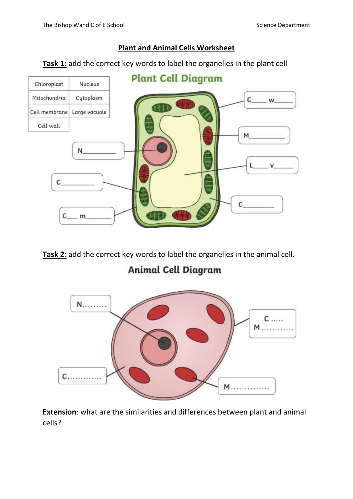 Plant Animal Cells Worksheet Labeling Comparison