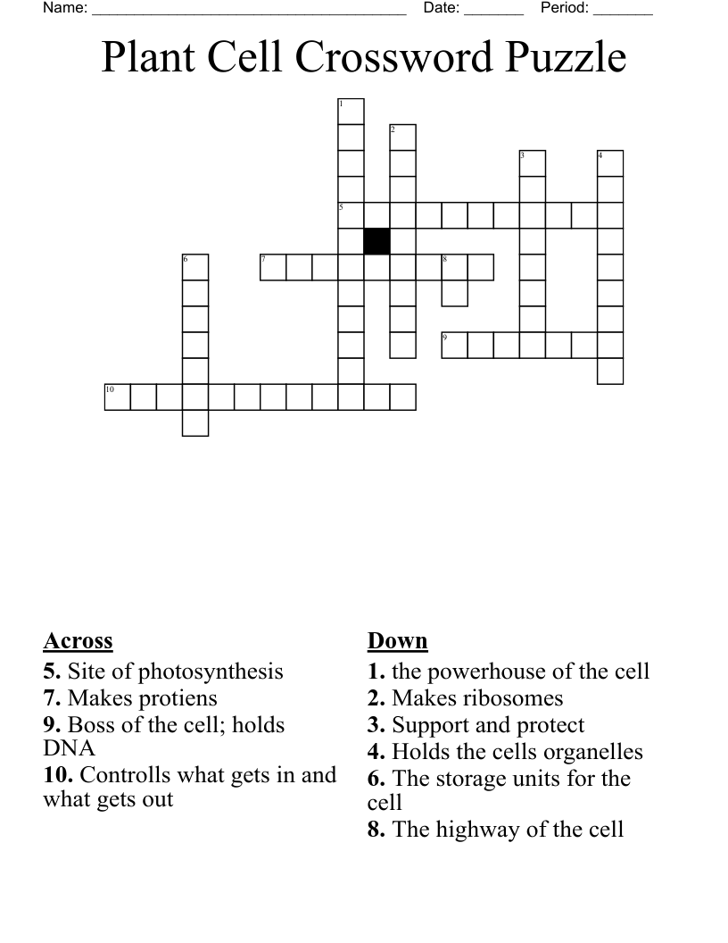 Plant Cell Crossword Puzzle WordMint