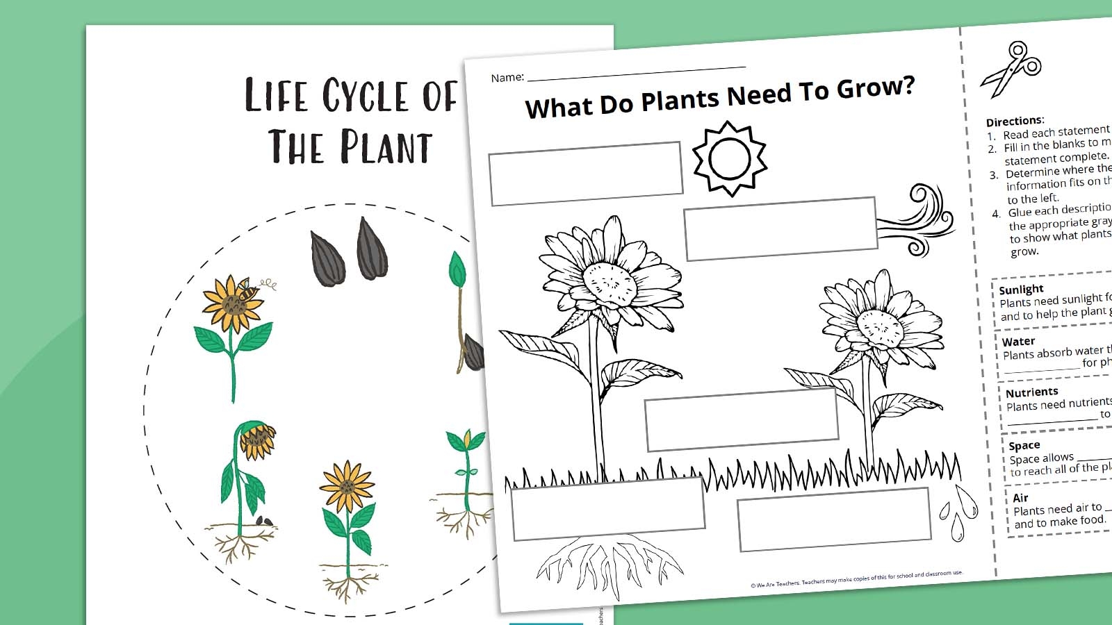 Plant Life Cycle Worksheet Bundle Free Printables
