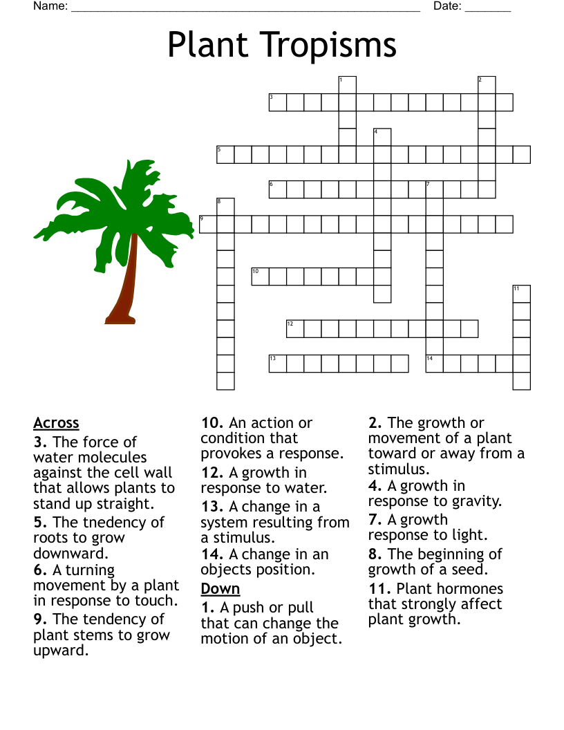 Plant Tropisms Crossword WordMint