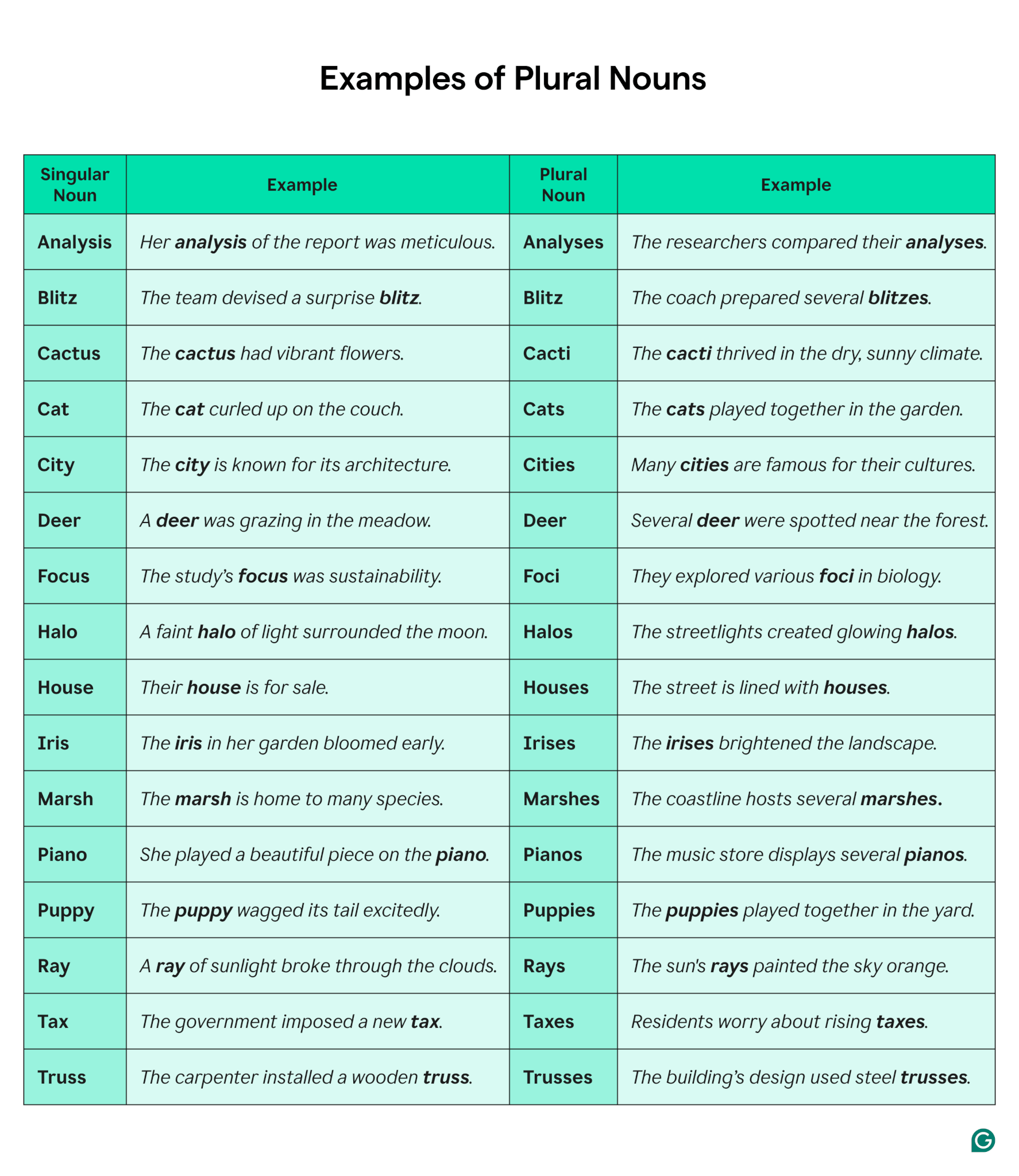 Plural Nouns Rules And Examples Grammarly
