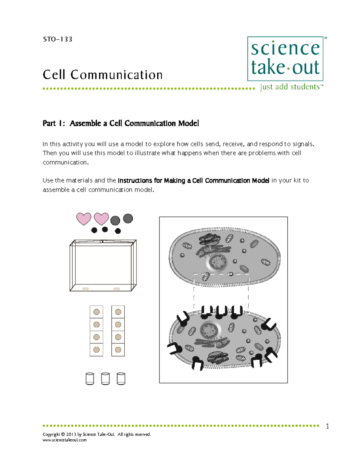 POGIL Meiosis Overview Key Concepts For Bio 101 Exam Review Studocu