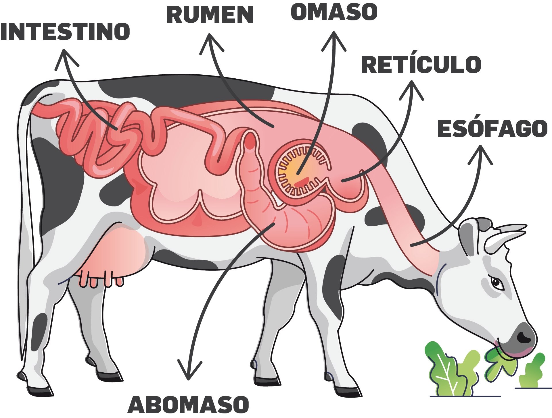 Por Un Lado Y Por El Otro
