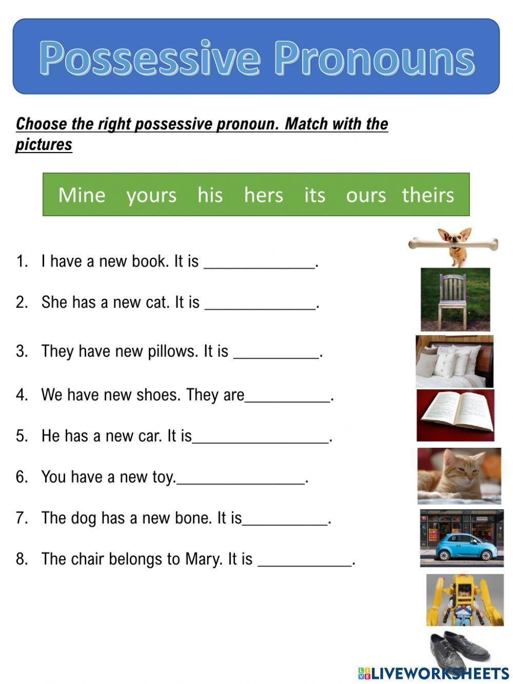 possessive pronouns activity sheets possessive pronouns activity sheets