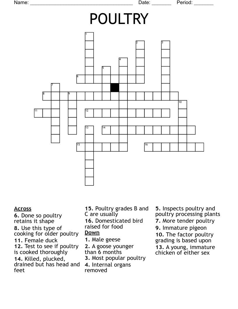POULTRY Crossword WordMint