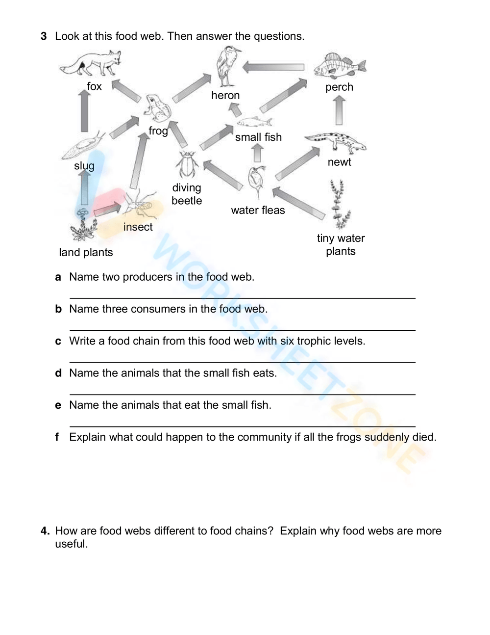 Printable Food Webs And Food Chains Worksheets