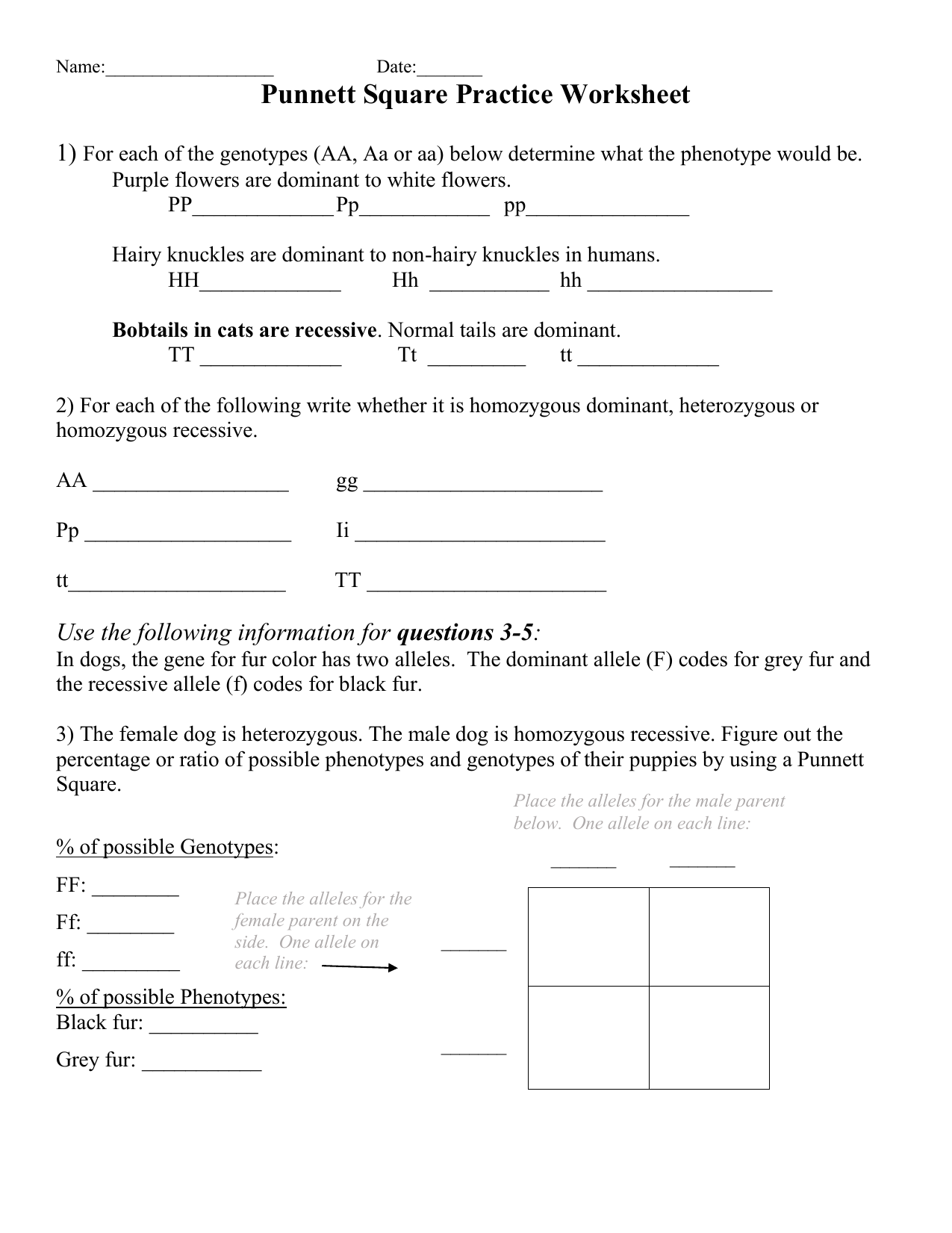 Punnett Square Practice Worksheet Genetics Problems