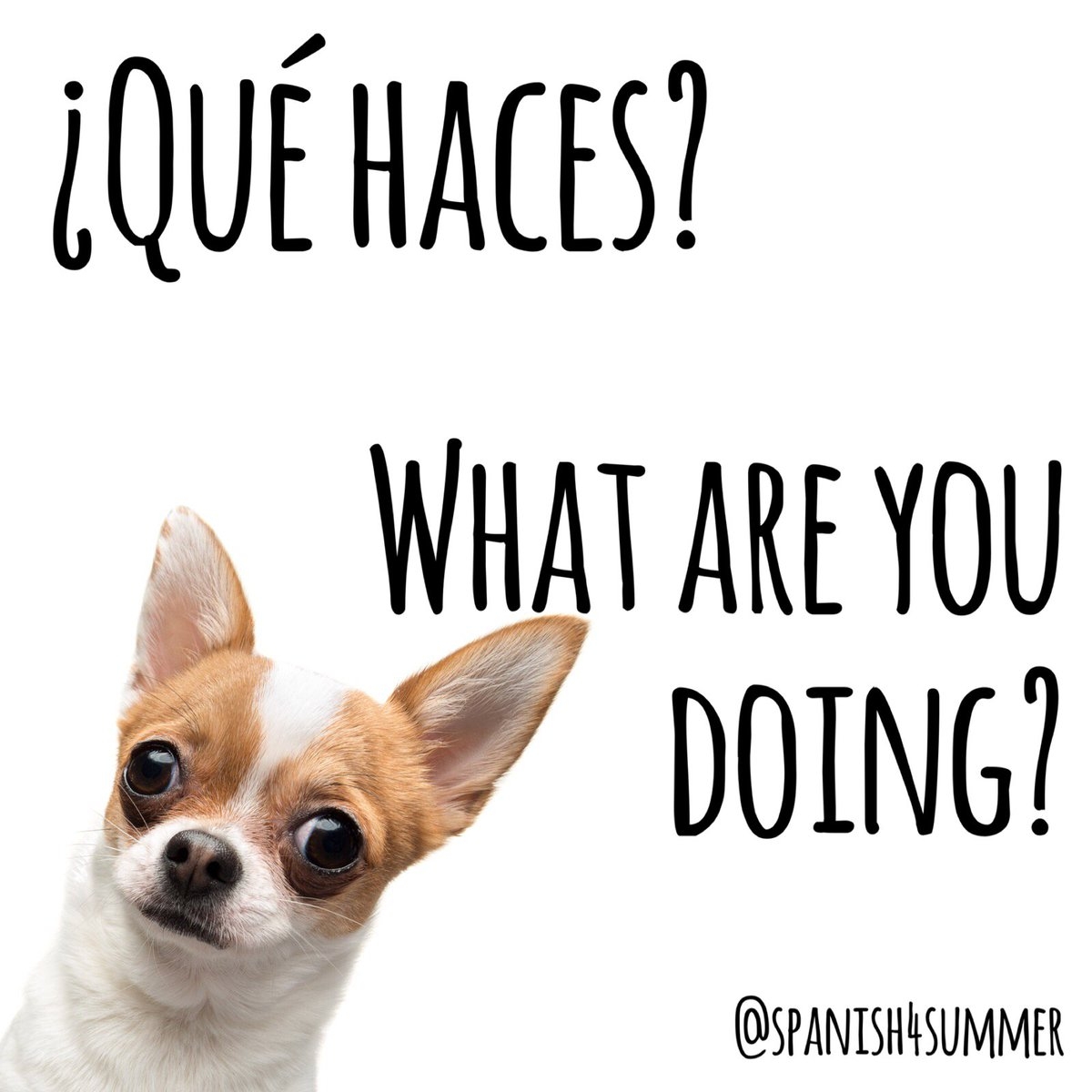 Qu Haces What Are You Doing espa ol spanish ingles english aprender aprender quehaces chihuahua